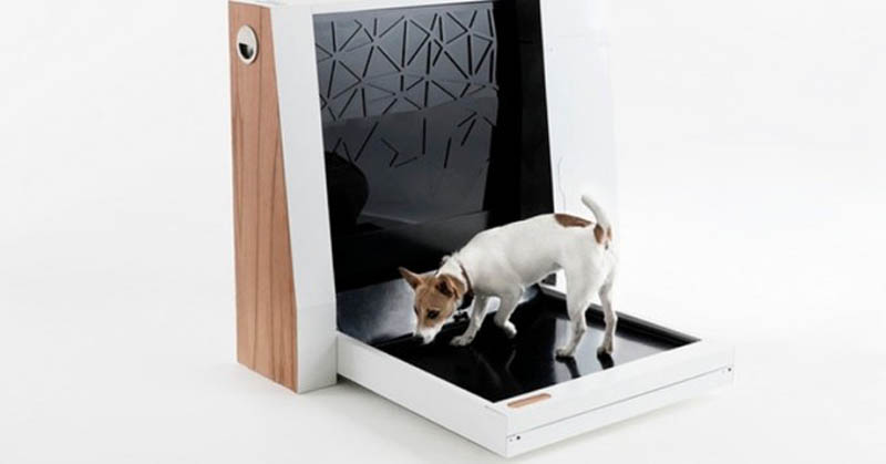 Собака в электронном туалете для собак 
