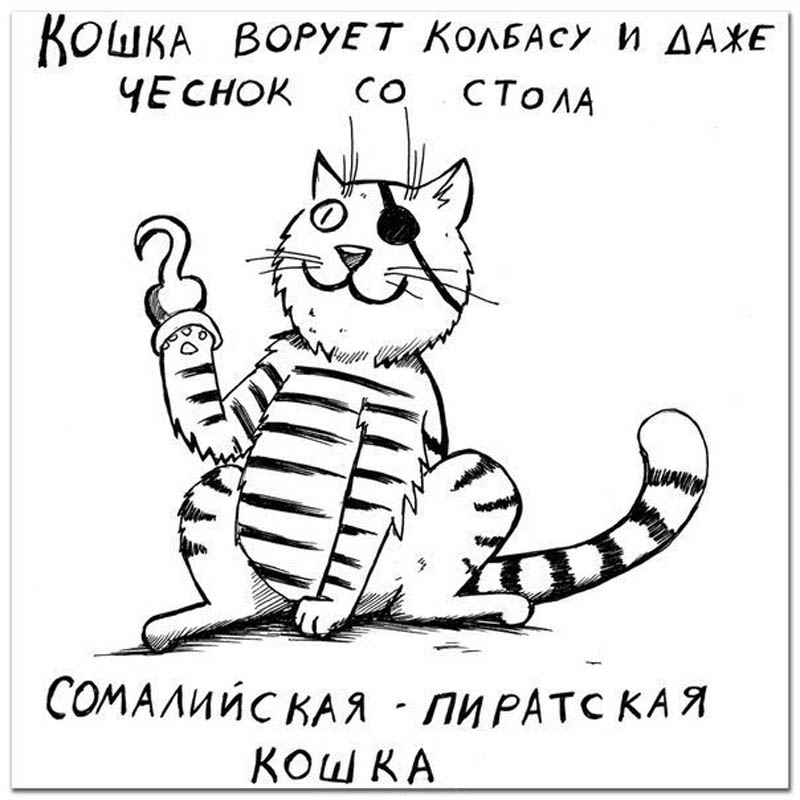 Сомалийская пиратская кошка