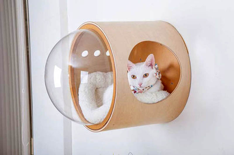 Настенный вариант кошачьего домика