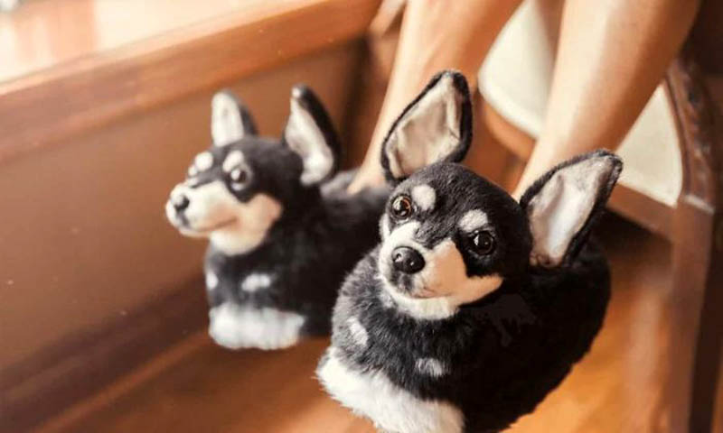 Тапочки с изображением любимой собаки