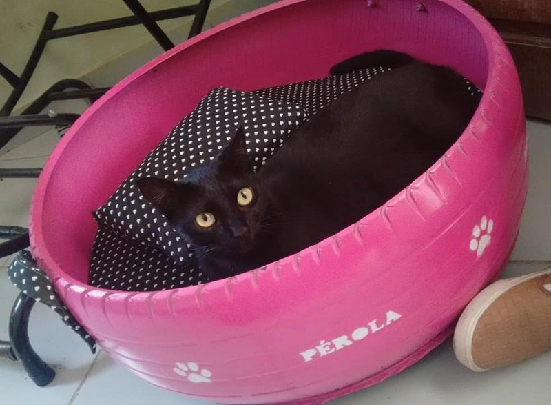Лежанка для черного котенка