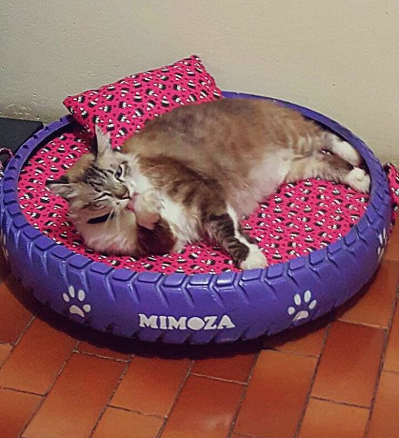 Лежак для кошки Мимозы