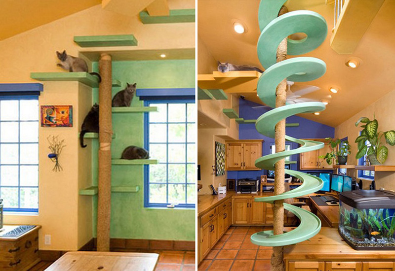 Благодаря новому дизайну, дом стал идеальным местом для кошек.