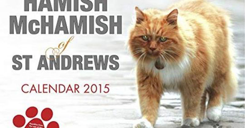 календарь с котом Макхемишем