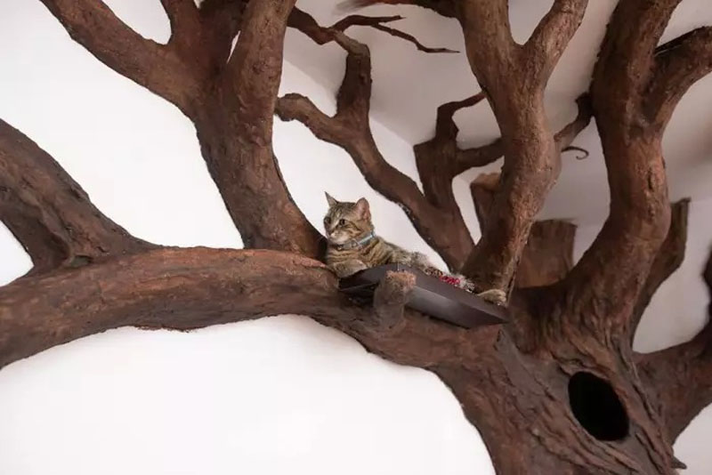 Дизайнерское дерево для кошки