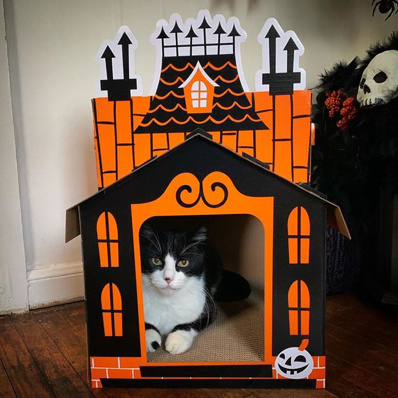 Картонный домик для кошки на Хэллоуин