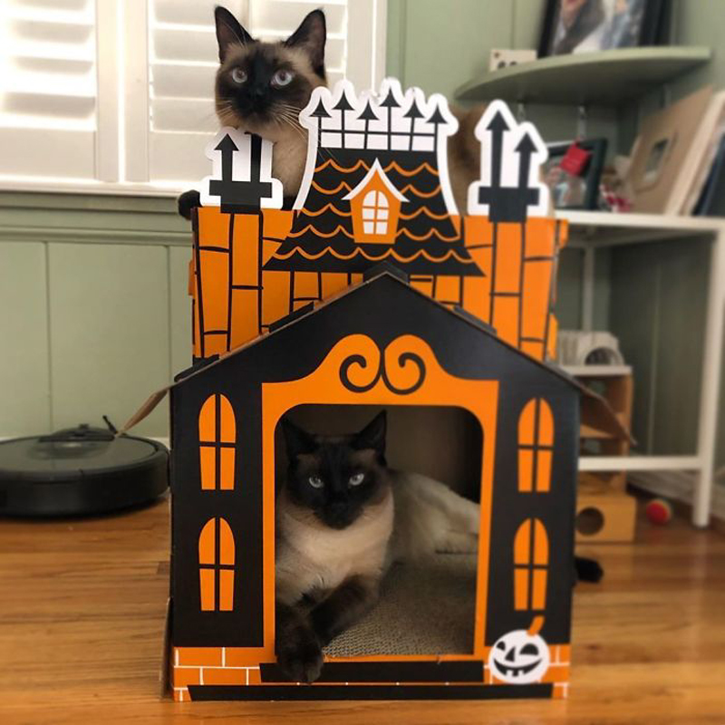 Картонный домик для кошки на Хэллоуин