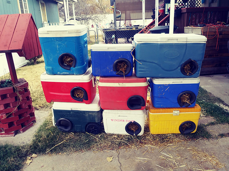 Домик для кошки из старого контейнера