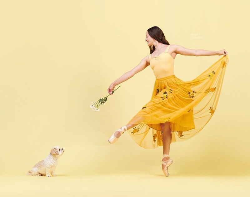 DANCERS & DOGS 