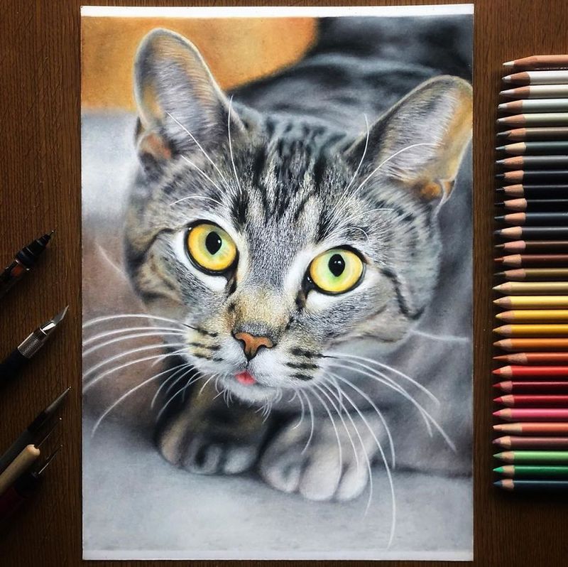 Реалистичные портреты кошек от японского художника Харуки Кужи