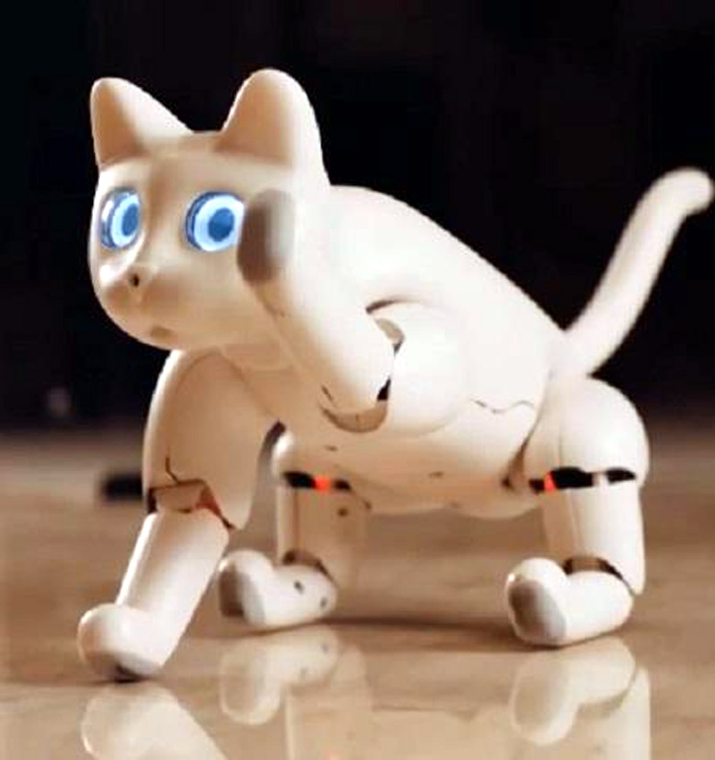 Кот-робот с искусственным интеллектом MarsCat