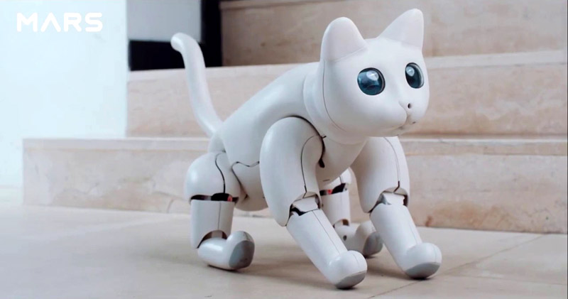 Кот-робот с искусственным интеллектом MarsCat