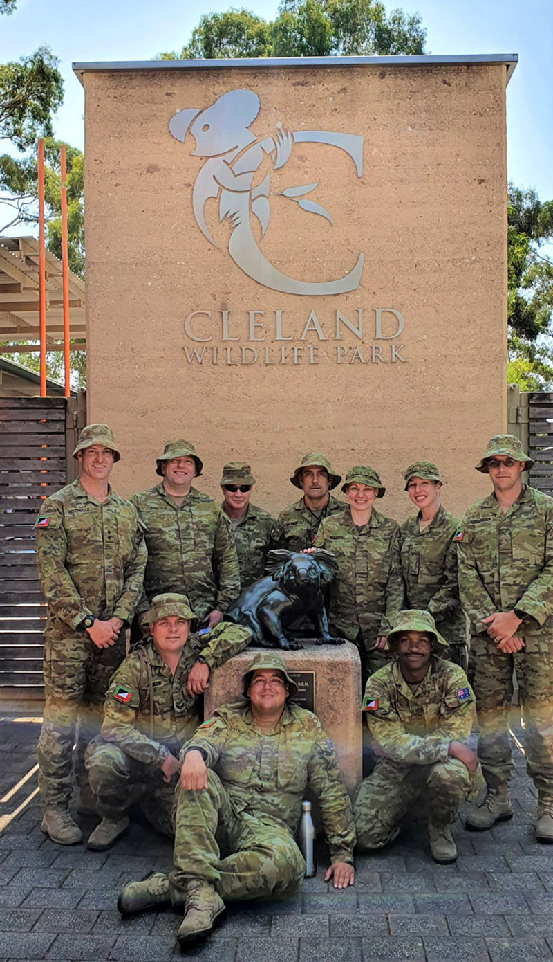 Солдаты помогают коалам