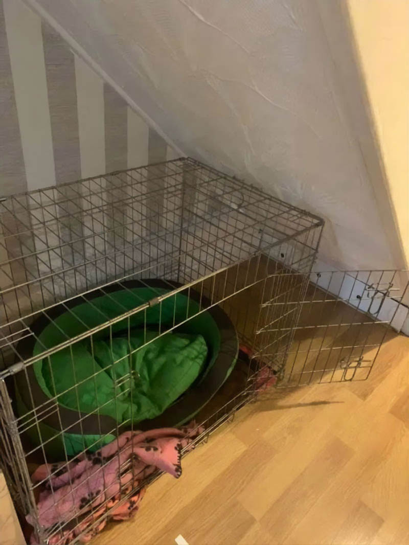 Уютна комната для собаки под лестницей
