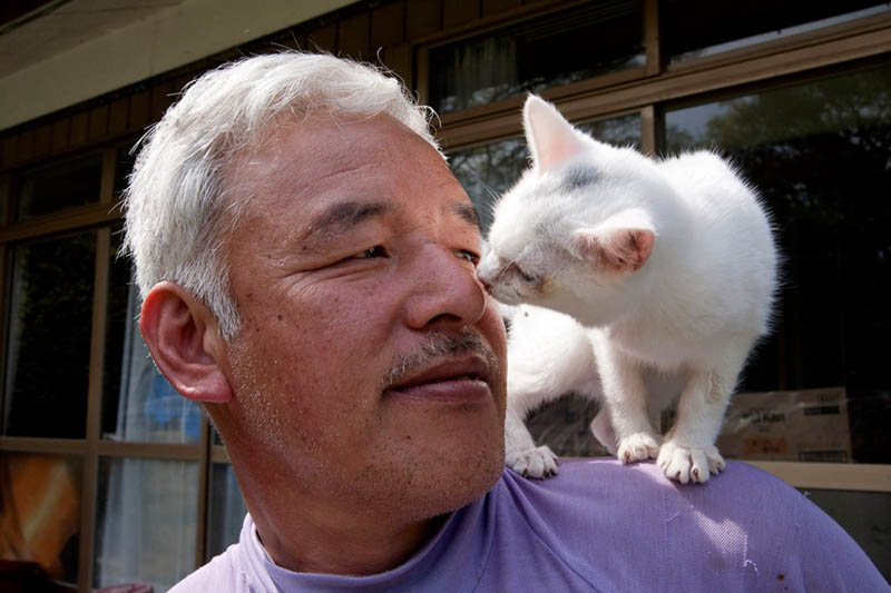 Наото Мацамура и его любимый котенок