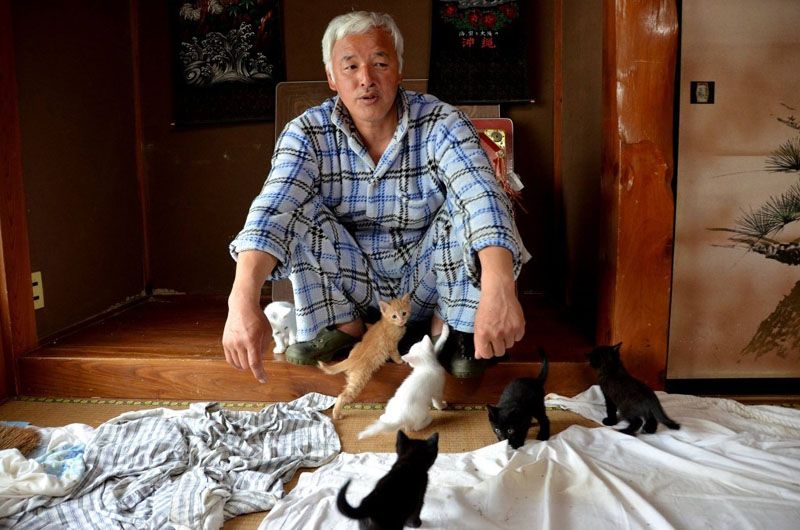 Наото Мацамура и котята