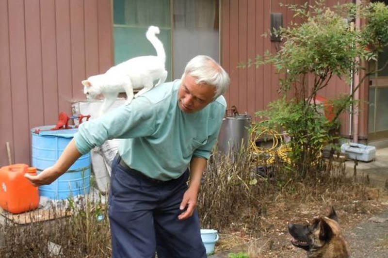 Наото Мацамура и котенок