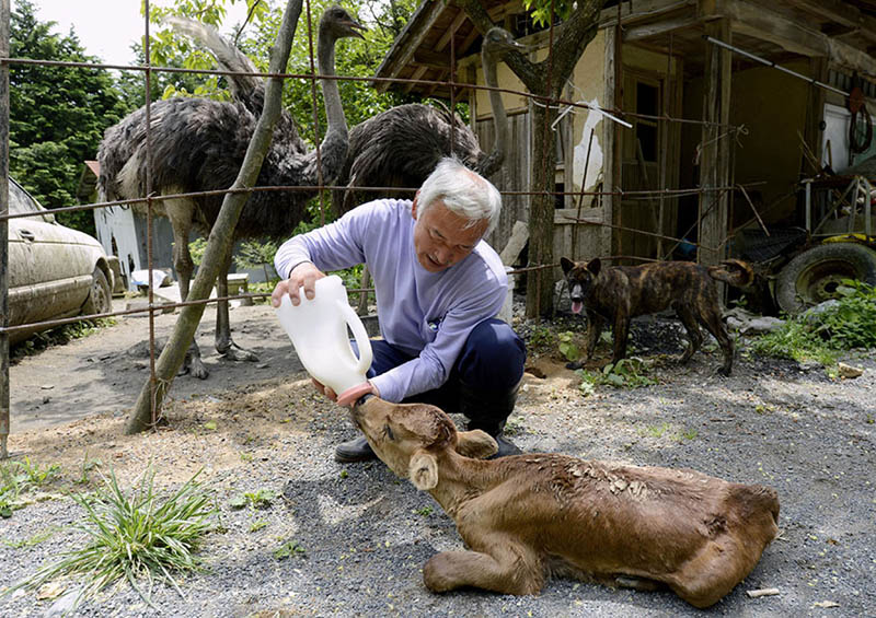 Наото Мацамура поит брошенных животных