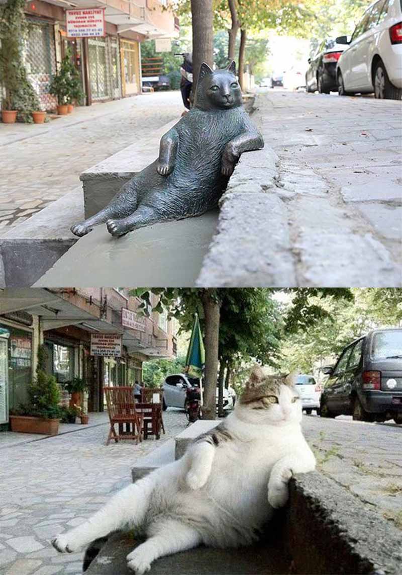 Памятник коту Томбили