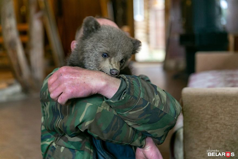 В Белоруссии маленький медвежонок пришел к людям