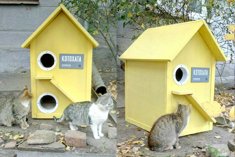 Домик ждя бездомных кошек, Одесса