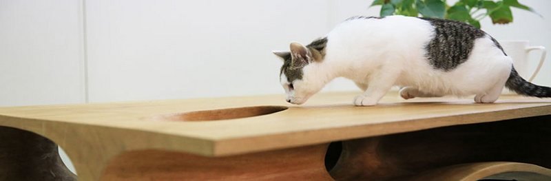 стол-лабиринт для кошек