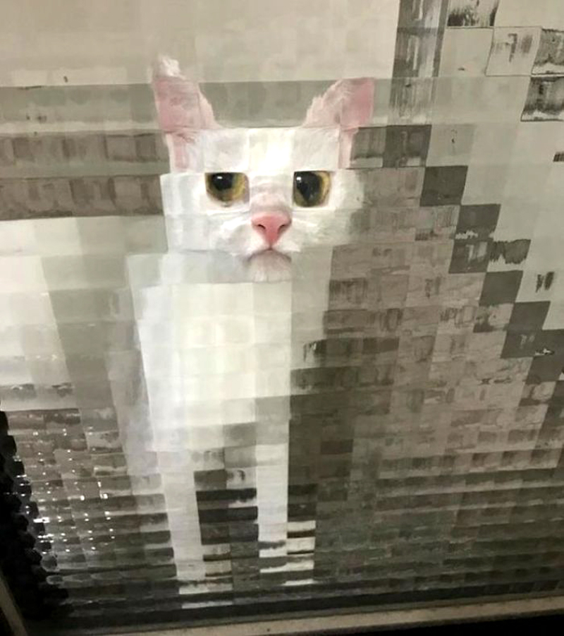 Пиксельные коты