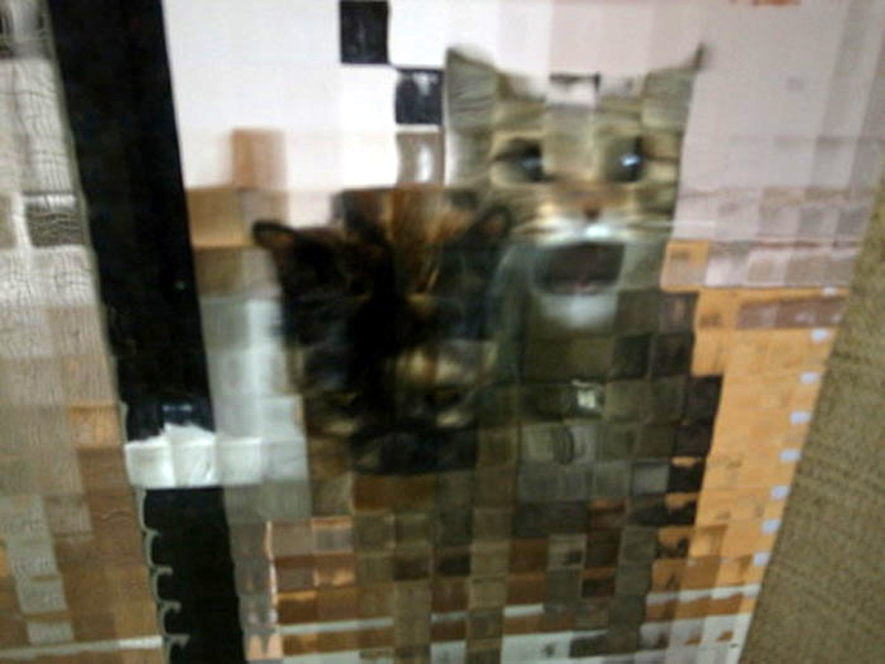 Пиксельные коты