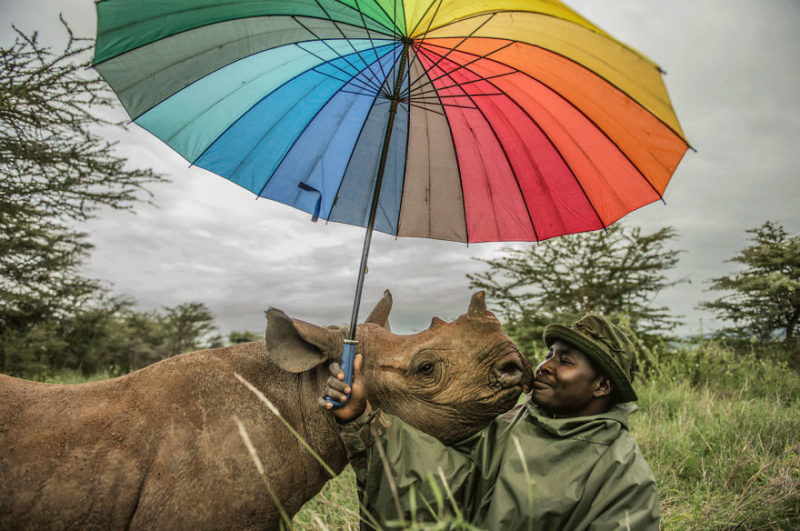 Народ самбуру на страже дикой природы Кении