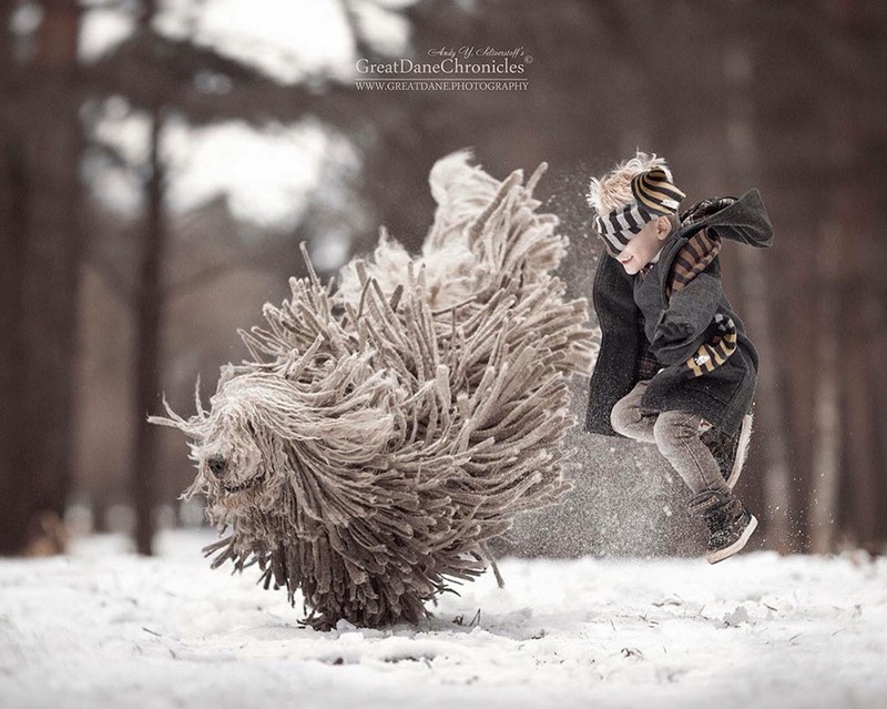 Летящая собака командор от фотографа Эдуарда Селивестрова