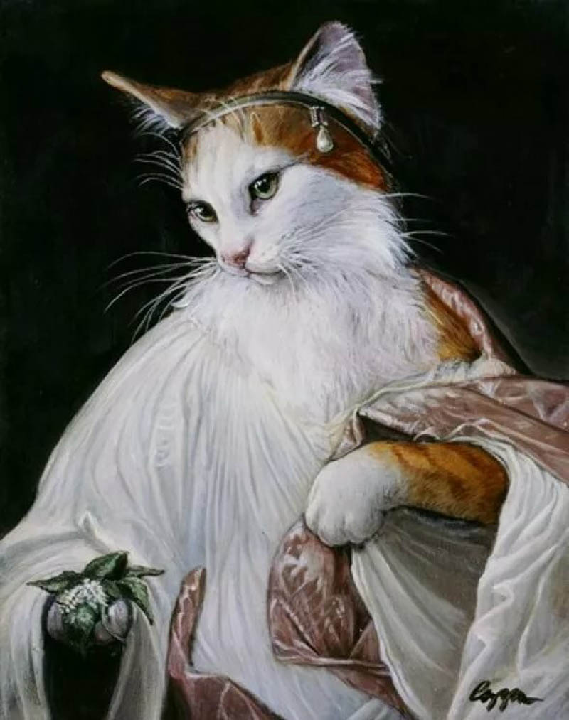 кошки Миелинды Купер