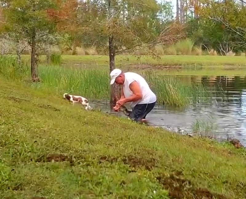 Мужчина спас своего щенка из пасти крокодила
