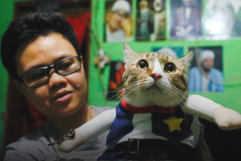 Фреди Лугина Приади — дизайнер кошачьей одежды из Индонезии 
