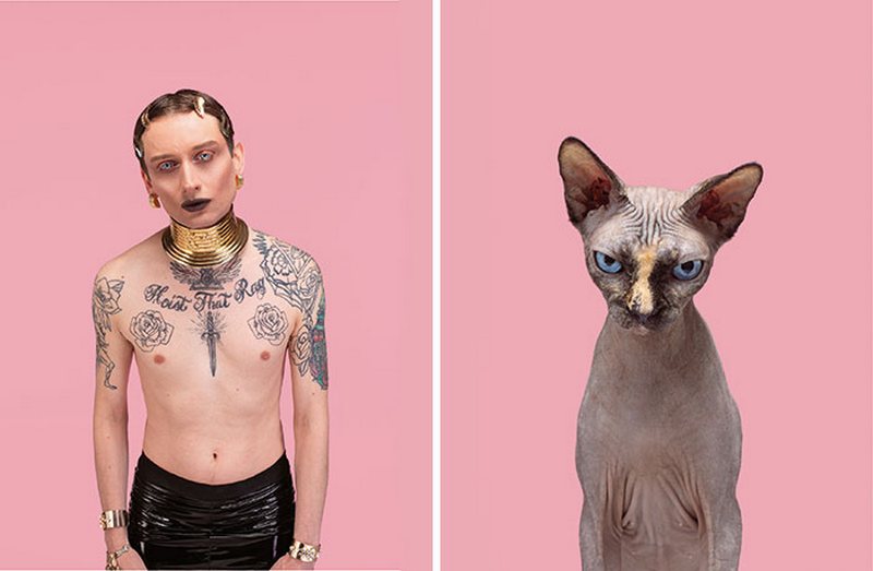 Парные портреты людей и кошек 