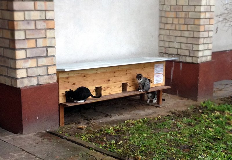 Домик для бездомной кошки