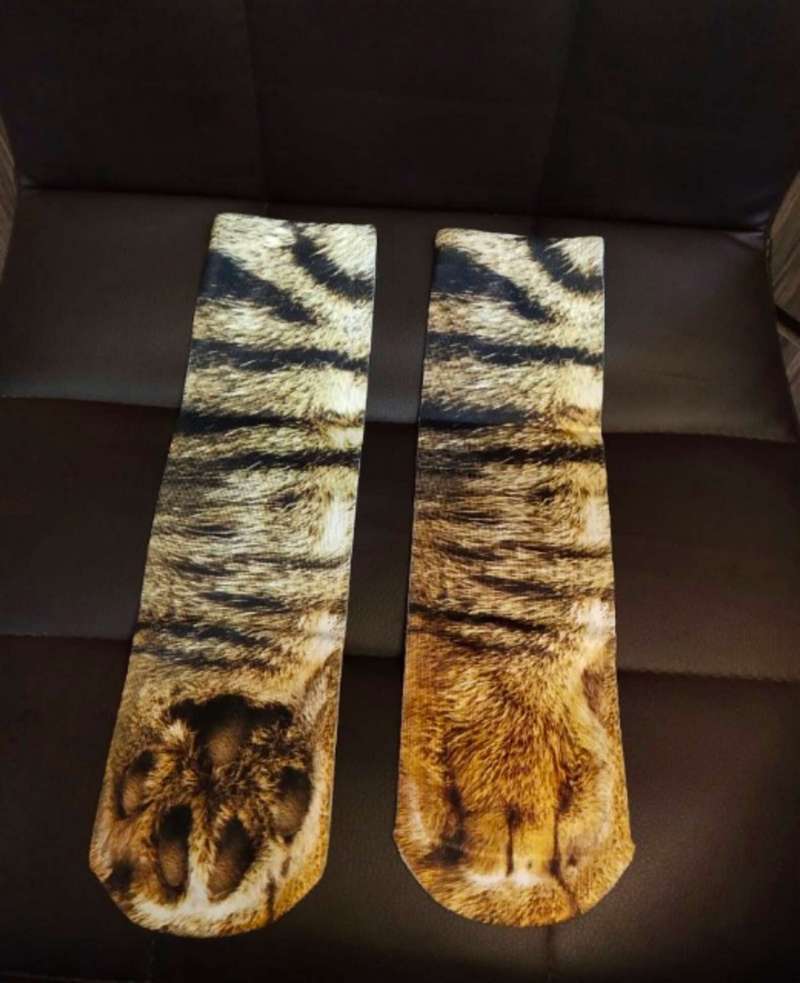 Кошки и носки с принтом «кошачьих лапок»