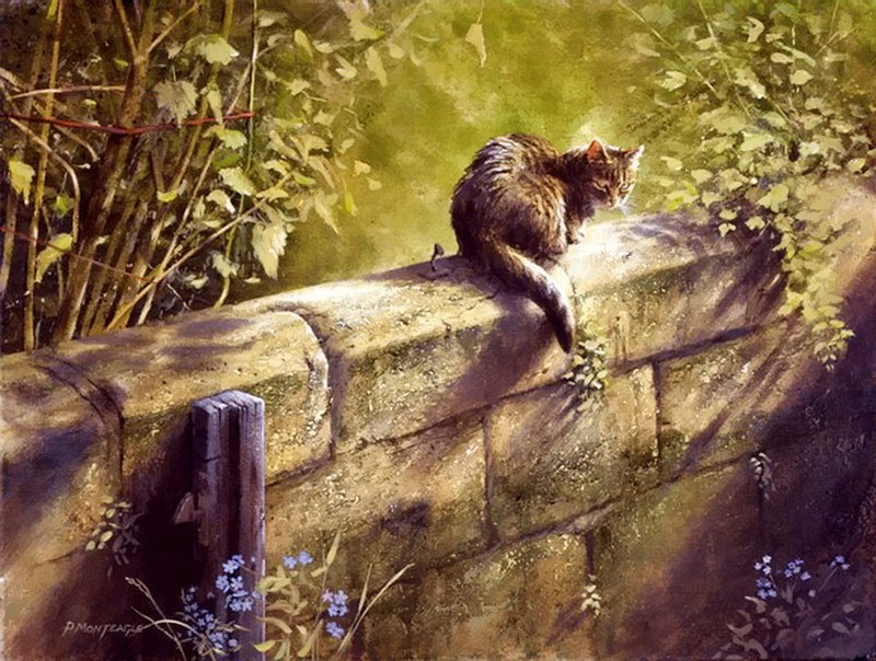 Кошки британского художника Пола Монтигла