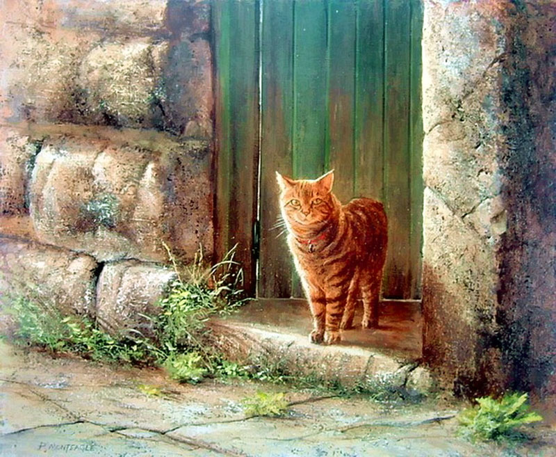 Кошки британского художника Пола Монтигла