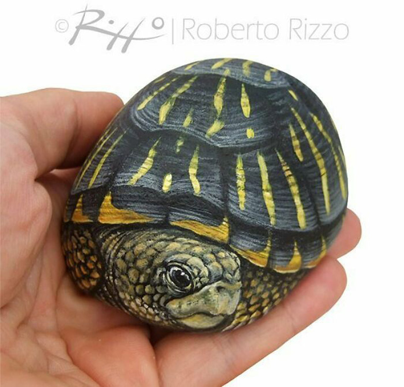 Рисунки животных на камнях художника Роберто Риццо