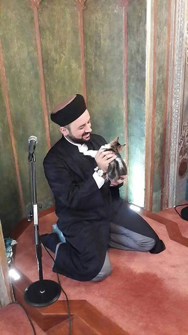 В Стамбуле имам открывает двери своей мечети для кошек