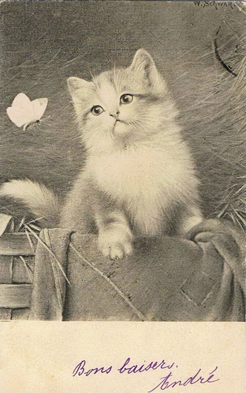 Старинные открытки с кошками