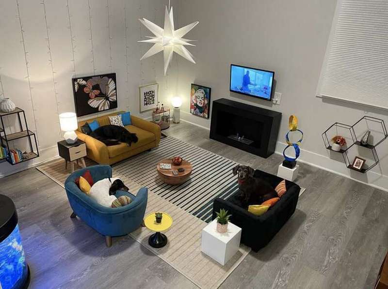 Мужчина превращает пустующую комнату в гостиную для собак