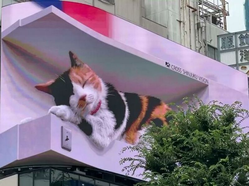 Гигантский рекламный щит с 3D-кошкой 