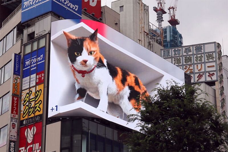 Гигантский рекламный щит с 3D-кошкой 