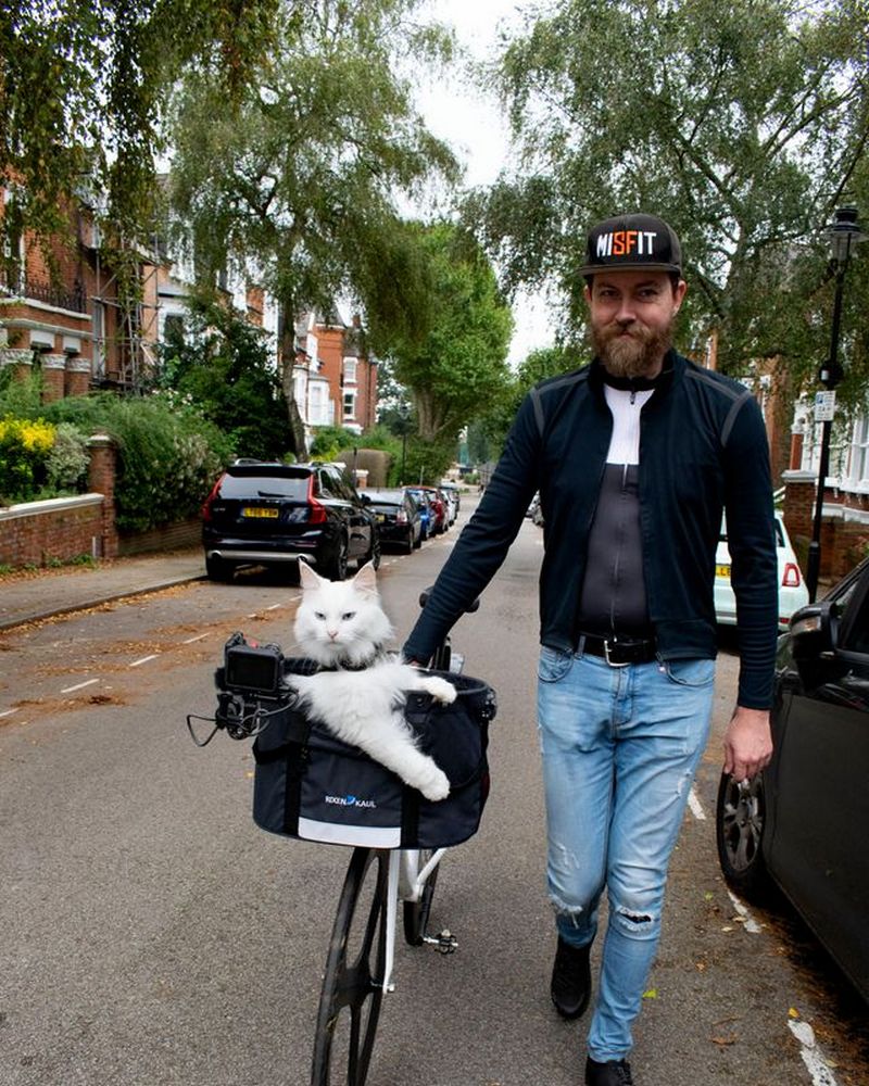 Велосипедная прогулка по Лондону с кошкой