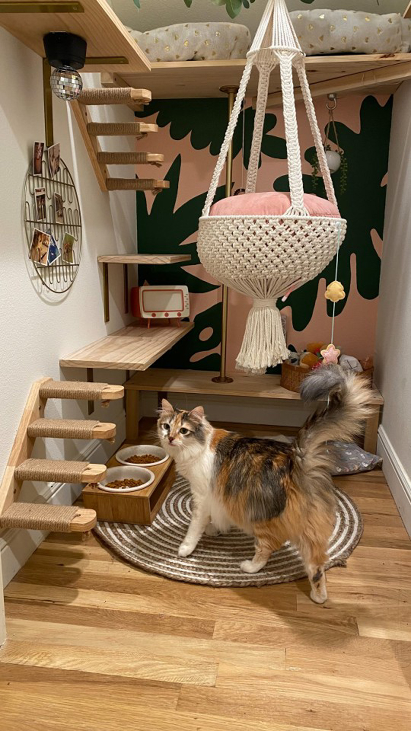 Комфортный домик для кошек под лестницей
