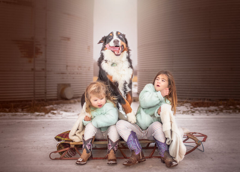 Дети и их собаки в работах канадского фотографа Вики Шампейн