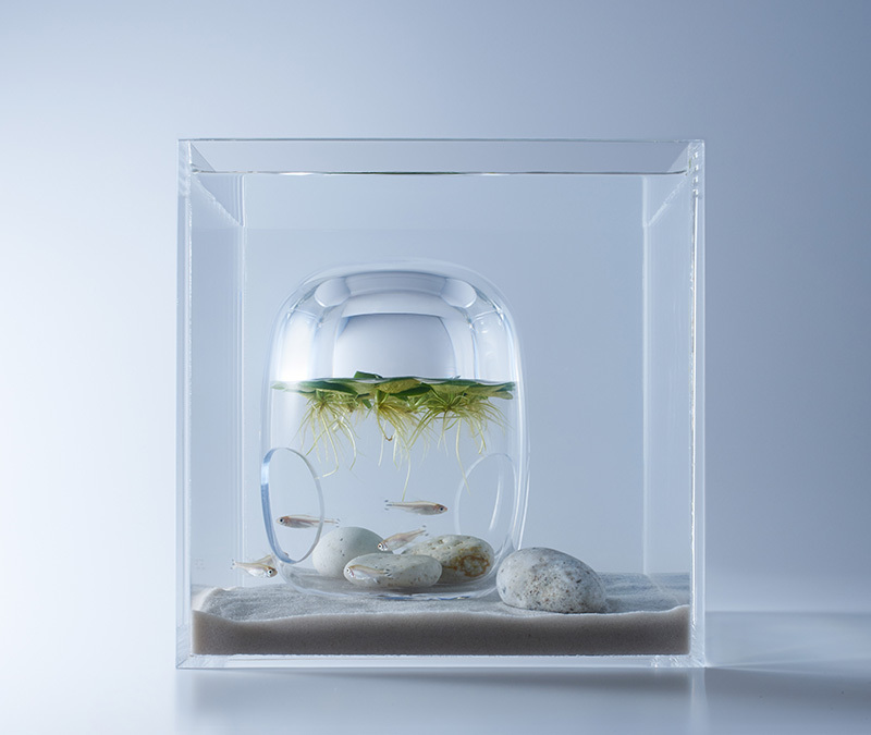 Дизайнерские аквариумы Харуко Мисавы