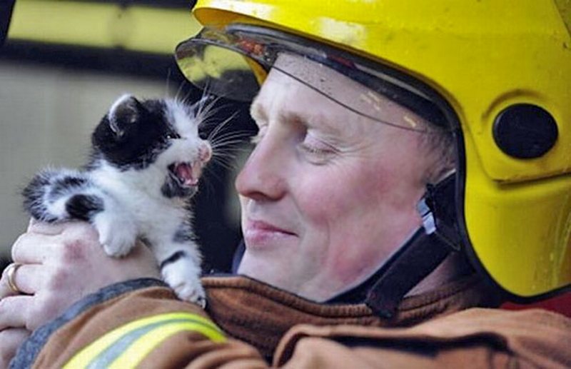 Пожарный и спасенный им котенок