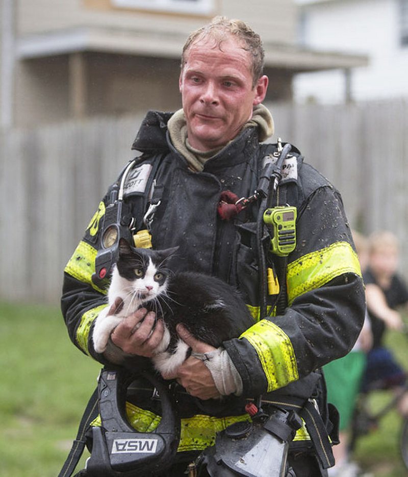 Пожарный спас кошку